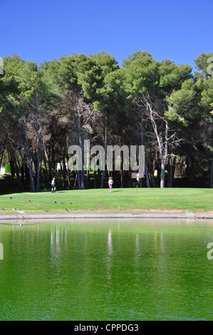 Grün über See am 8. Loch am Golfplatz Golf Son Parc, Son Parc, Menorca, Balearen, Spanien Stockfoto