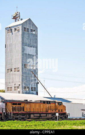 Güterzug rumpelt vorbei an einer alten verlassenen Bohne Laden von Silo und Aufzug, wo einmal es aufgehört haben würde, um vor Jahren zu laden. Stockfoto