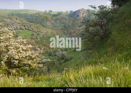 Die Krümmer Tal und Thor Höhle, Staffordshire, Peak District, England UK Stockfoto