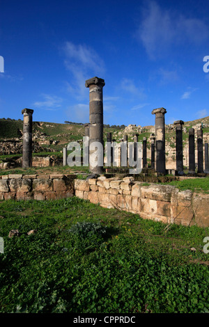 Spalten im Umm al-Amad (die Mutter von Spalten) in der archäologischen Stätte von Abila Dekapoleos in der Dekapolis war eine alte römische Stadt und Christian bischöflichen finden Sie nordöstlich von Irbid, Jordanien. Stockfoto