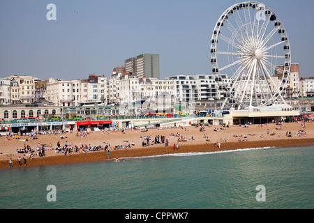 Brighton mit Riesenrad am Strand in East Sussex - UK Stockfoto