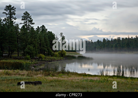 Nebel steigt von White Horse Lake, Kaibab National Forest, Arizona Stockfoto