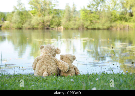 Rückansicht des Teddybären, Blick auf den See Stockfoto