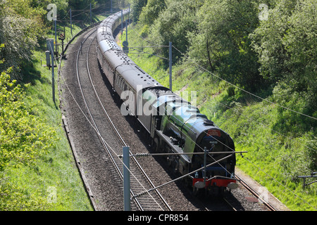 LMS Princess Coronation Klasse 6233 Herzogin von Sutherland Dampfzug auf der West Coast Main Line, in der Nähe von Carlisle, Cumbria, Stockfoto