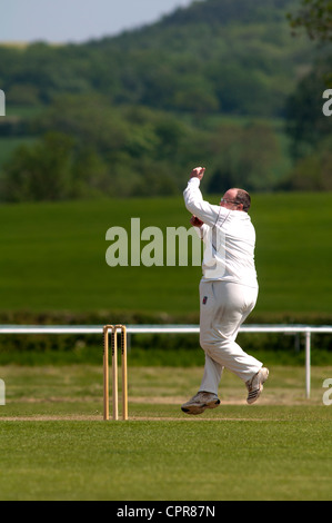 Melone im Dorf Cricket-Match bei Henley-in-Arden Stockfoto