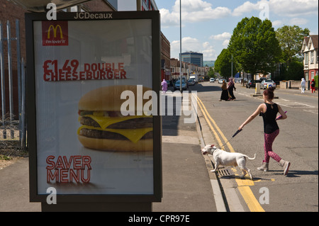 JCDecaux Werbung Reklametafel für MCDONALD'S DOUBLE CHEESEBURGER auf Bushäuschen in Newport South Wales UK Stockfoto