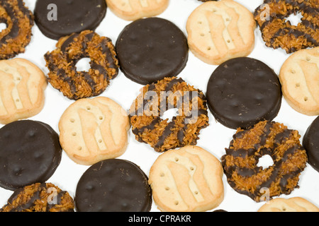 Dünne Münzstätten, Kleeblätter und Samoas Girl Scout Cookies. Stockfoto