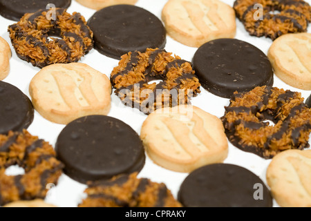 Dünne Münzstätten, Kleeblätter und Samoas Girl Scout Cookies. Stockfoto