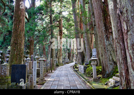 Der Hauptweg durch den berühmten Zedernwald Okunoin Friedhof am Mount Koya, Japan. Japanischer Toro, Steinlaternen auf beiden Seiten der Steinstraße. Stockfoto