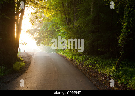 Reisen zum Licht.  Morgenlicht und Nebel auf die Loop Road in Cades Cove geben eine mystische Qualität der Szene. Stockfoto