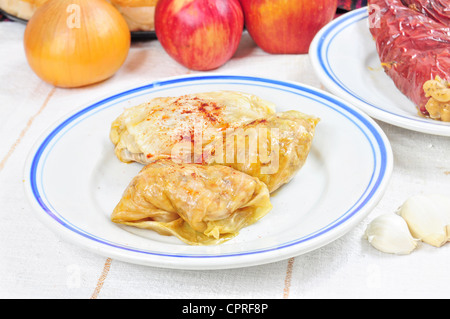 Fastenzeit Traditionsgericht aus dem Balkan - Kohl rollt mit Aufstieg "Sarma" Stockfoto