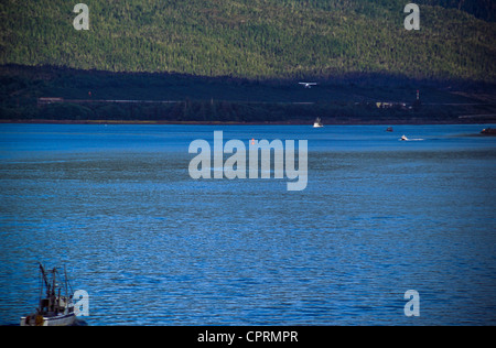 Alaskan Luftaufnahmen von Buschpilot Flugzeug. Stockfoto