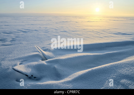 Fragmente von Eis bedeckt mit Schnee an der Küste des Golfs von Finnland Stockfoto