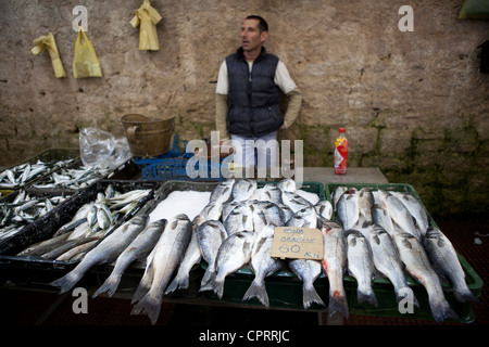 Fischmarkt Zadar Kroatien Stockfoto