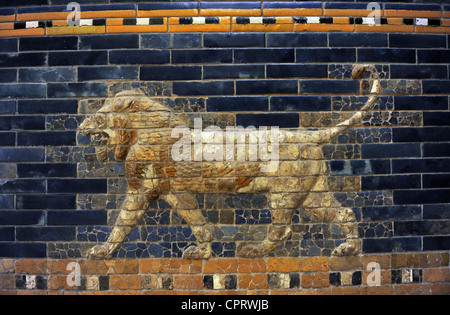 Mesopotamische Kunst. Neubabylonischen. Der Saal des Thrones von Nebukadnezar II.  Detail. Löwe. Pergamon-Museum. Berlin. Deutschland. Stockfoto