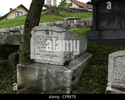 Alte jüdische Grabstein auf Kovačići Serajevo Bosnien ich Herzegowina aus 16. Jahrhundert Stockfoto