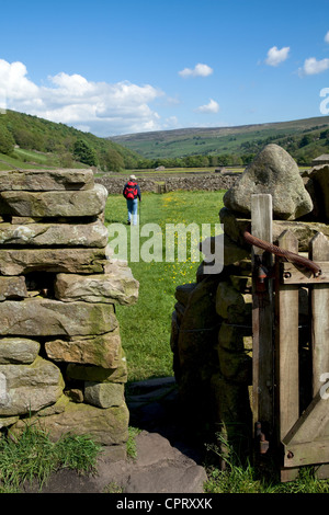 Ein enges Holztor, Trockenmauern, öffentliches Wegerecht für Wanderer und Wanderer auf Ackerland, North Yorkshire Dales Meadows, Gunnerside UK Stockfoto