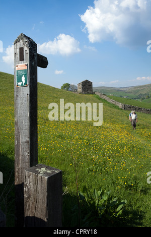 Wegweiser & Walkers Gate auf die öffentliche Landstraße durch Meadowfield, in Gunnerside, North Yorkshire Dales, Richmondshire, Großbritannien Stockfoto