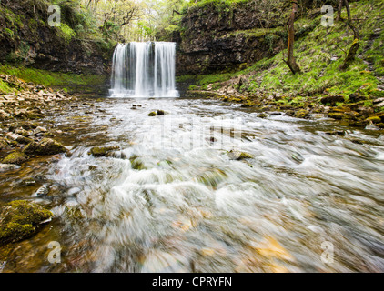 Sgwd Yr Eira Wasserfall Fluss Pyrddin Neddfechan Vale of Neath Brecon-Beacons-Nationalpark Stockfoto