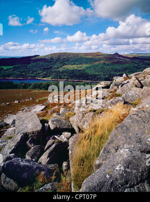 Spätsommeransicht von Leather Tor und Sharpitor vom Sheeps Tor im Dartmoor National Park, Devon, England. Stockfoto