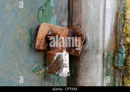 Alte rostige Vorhängeschlösser an einer alten distressed Tür Stockfoto