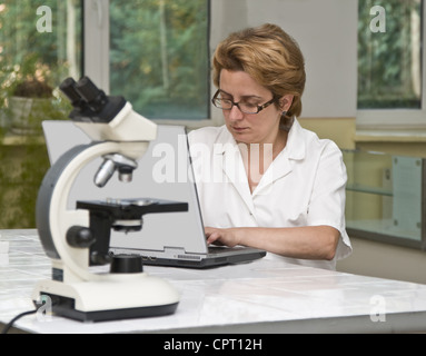 Forscherin an einem Notebook im Labor arbeitet. Stockfoto