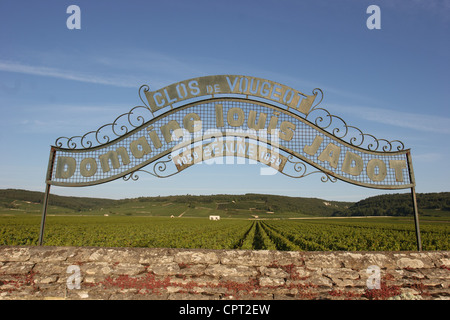 Landschaft rund um den Côtes de Nuits Weinberge von Burgund, Frankreich. Heimat des berühmten roten grand Cru Weine aus der Welt. Stockfoto