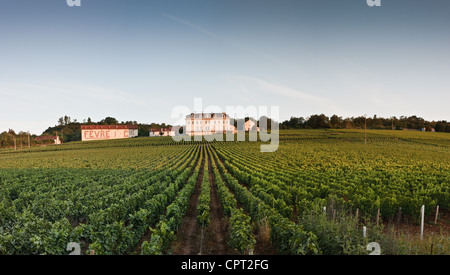 Landschaft rund um den Côtes de Nuits Weinberge von Burgund, Frankreich. Heimat des berühmten roten grand Cru Weine aus der Welt. Stockfoto