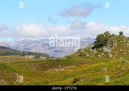 Schöne Berge Landschaft im Norden Portugals Stockfoto