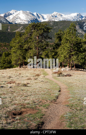 Trail in Rocky Mountain Nationalpark - Estes Park, Colorado, USA Stockfoto