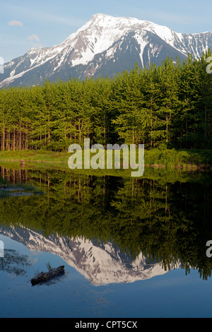 Mount Cheam Reflections - Agassiz, British Columbia, Canada Stockfoto
