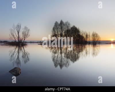 Hight Wasserfluss auf Sunrise. Frühling am Fluss Oka in Russland, Stockfoto