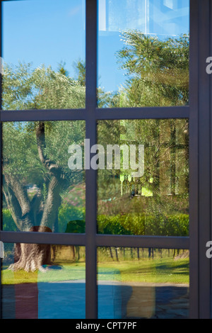 Angelo GAJA, einem berühmten italienischen Wein-Grower., Spiegelbild der Natur in der Fensterscheibe. Stockfoto