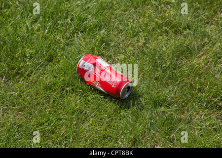 Eine Leere Bierdose geworfen auf dem Rasen Stockfoto