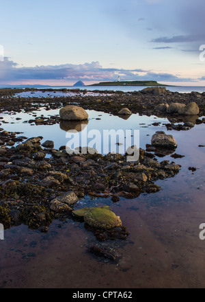 Felsige Ufer auf der Isle of Arran Stockfoto