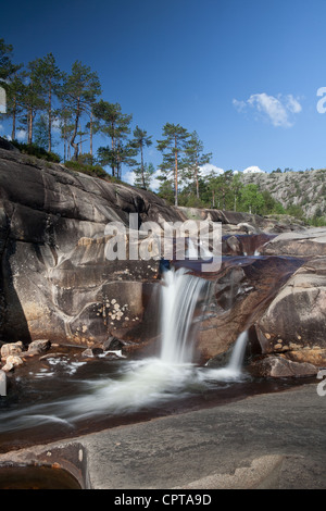 Wasserfälle bei Reinsfoss in Nissedal, Telemark Fylke, Norwegen. Stockfoto