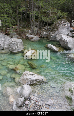 Gorges De La Restonica Korsika Frankreich Stockfoto