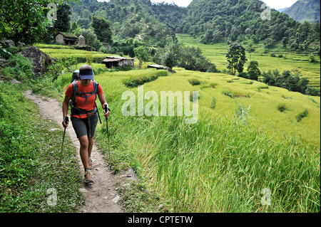 Frau Wanderungen entlang des Weges durch Reisterrassen, Bahundanda, Nepal Stockfoto