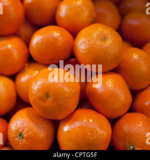 Mandarinen auf dem Display in der Farmers market Stockfoto