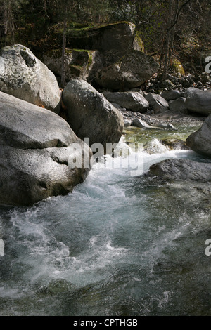 Gorges De La Restonica Korsika Frankreich Stockfoto