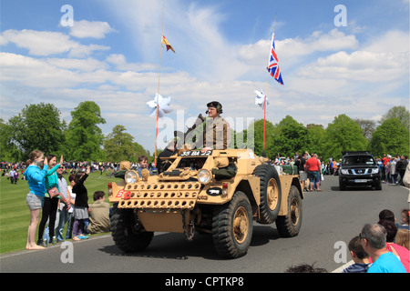 Daimler Ferret Mk1 Scout Car Liaison (1953), Vintage Vehicle Parade, Chestnut Sunday, Bushy Park, Hampton Court, England, Großbritannien, Europa Stockfoto