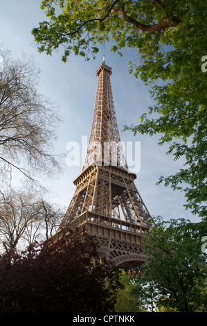 Der Eiffelturm, Wahrzeichen von Paris, fangen die Strahlen der untergehenden Sonne. Zwischen den Bäumen in Champ de Mars angesehen. Frankreich. Stockfoto