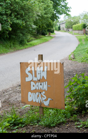 Melden Sie Warnung Fahrer Enten in der Straße - Enten im Dorf in der Nähe von einem Teich zu verlangsamen. Stockfoto