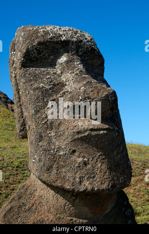 Close-up Moai Rano Raraku Osterinsel Chile Stockfoto