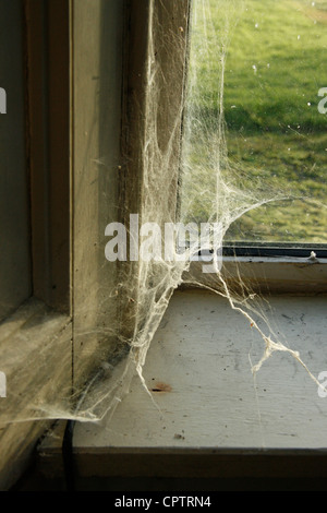 Spinnweben im Fenster Fensterbank innen. Stockfoto