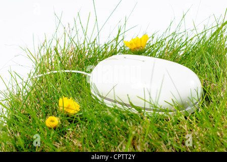 Computer-Maus auf Rasen Stockfoto
