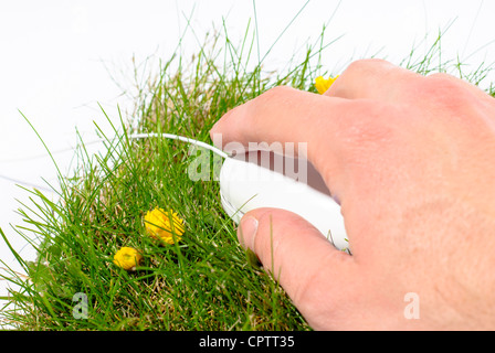 Computer-Maus auf Rasen Stockfoto