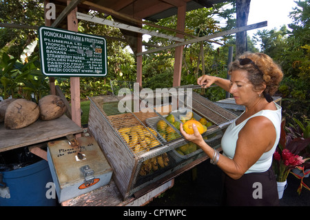 Hawaii, Maui, Hana, am Straßenrand Obst mit Modell veröffentlicht Frau stehen Stockfoto