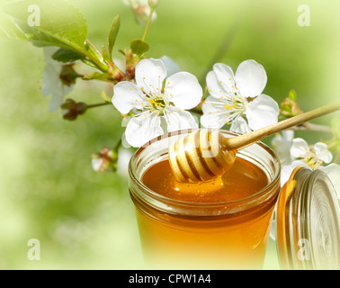 Glas mit Honig und Blumen abstrakt erlauben Hintergrund Konzept Stockfoto