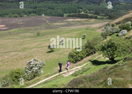 Zwei Wanderer auf der North Yorkshire Moors in der Nähe von Skelton Tower, North Yorkshire Moors, England Stockfoto